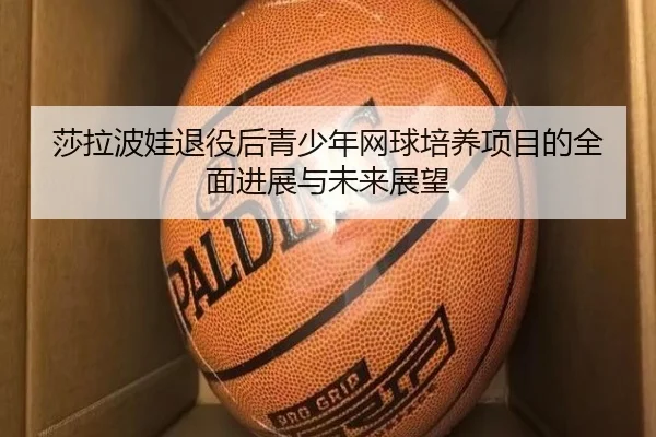 莎拉波娃退役后青少年网球培养项目的全面进展与未来展望